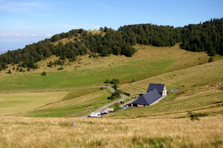 Balade ferme-auberge Kahlenwasen : goûter la paix…