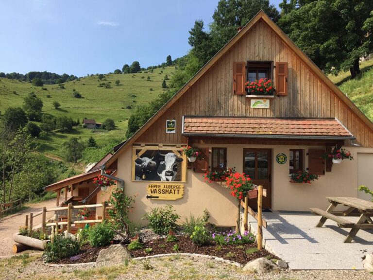 Balade ferme-auberge Wassmatt : au royaume de l'estive