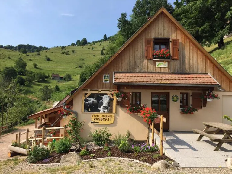 Balade ferme-auberge Wassmatt : au royaume de l'estive
