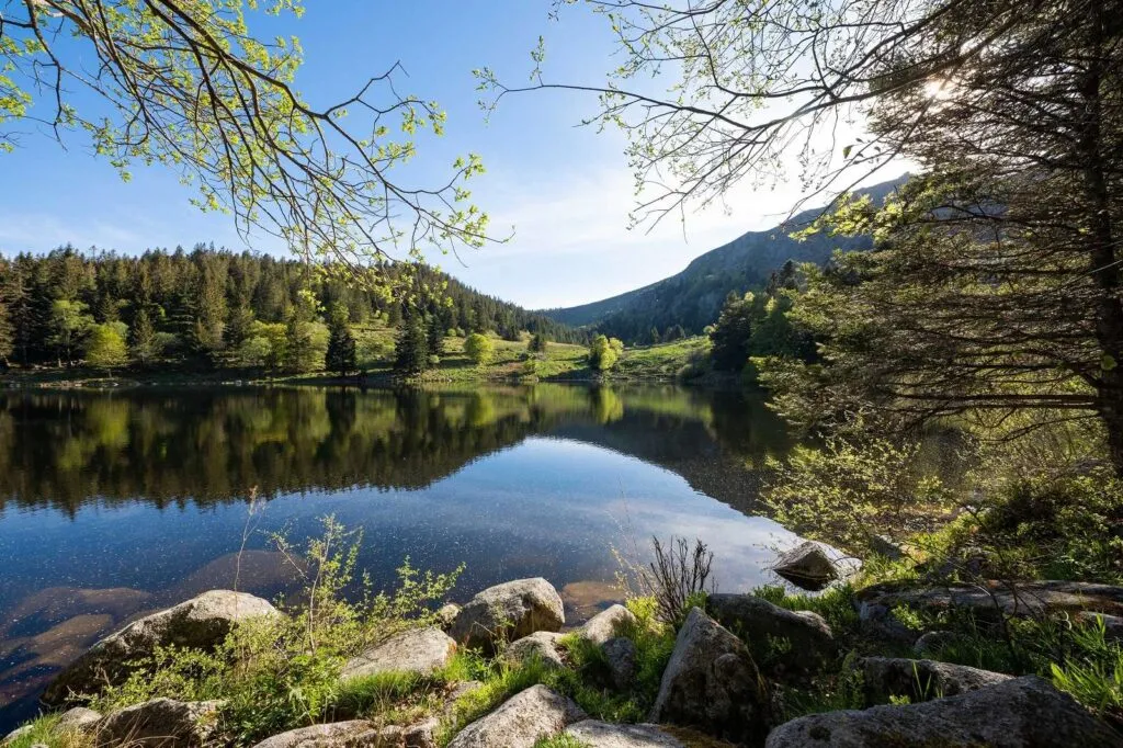 Wanderung Forlet: Wandern gegenüber dem schönsten Gletschertal