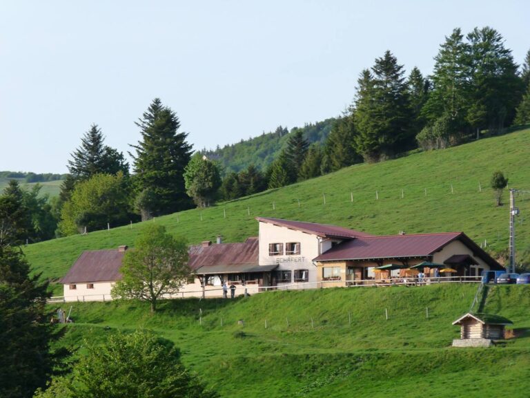 Balade ferme-auberge Schafert : vers une vue des hauts à 360 degrés