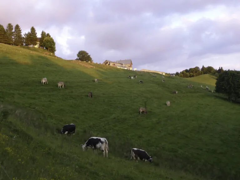 Balade ferme-auberge du Treh : le domaine de l'envol