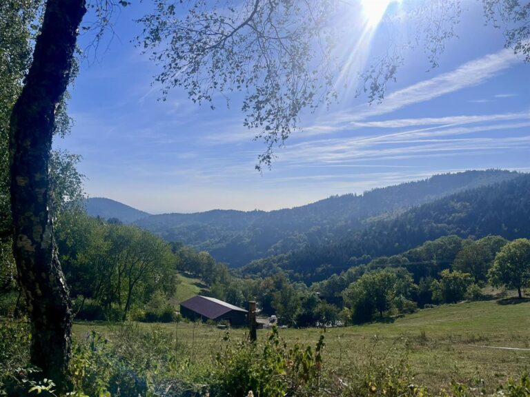 Balade ferme-auberge Buissonnets : sur les traces du plus beau volcan