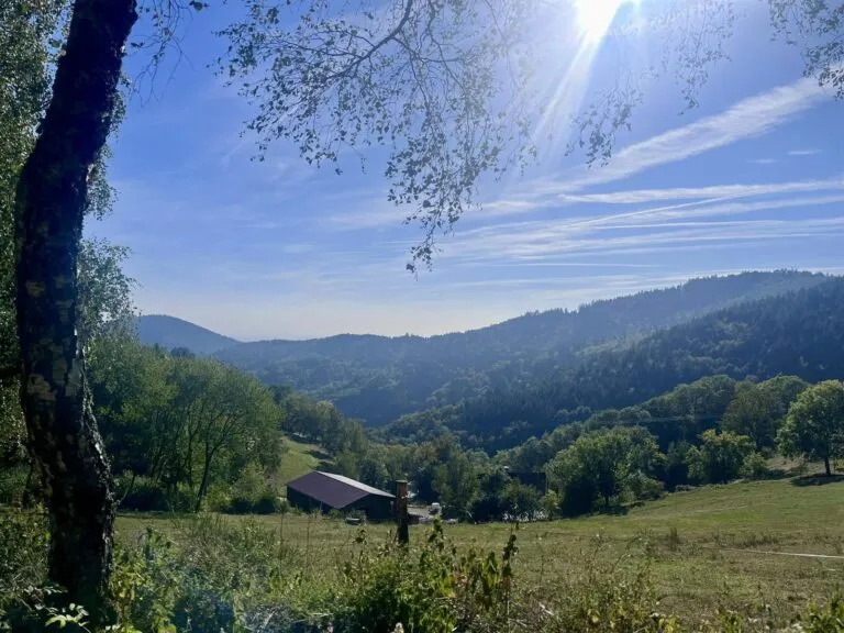 Balade ferme-auberge Buissonnets : sur les traces du plus beau volcan