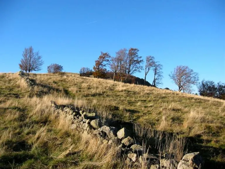 Balade ferme-auberge Thannerhubel : entre les alignements de pierre