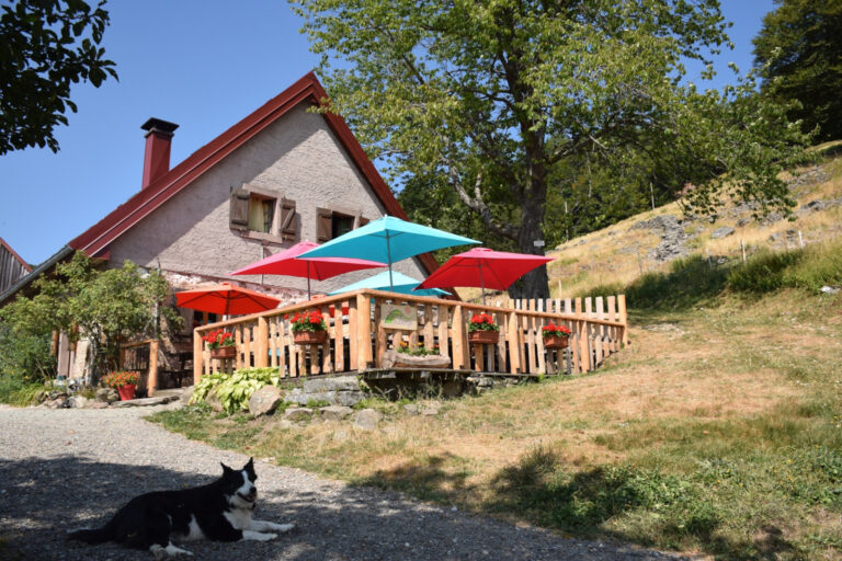 Balade ferme-auberge Grand Langenberg : vers les forêts sauvages