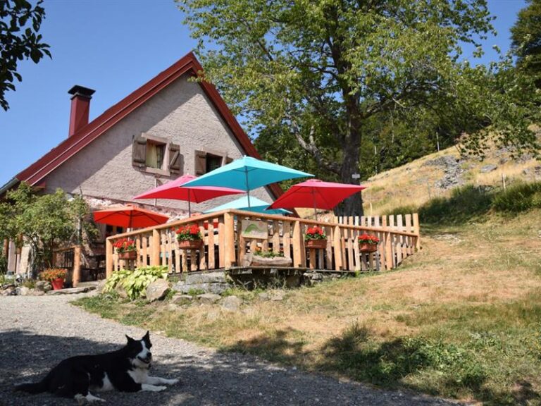 Balade ferme-auberge Grand Langenberg : vers les forêts sauvages