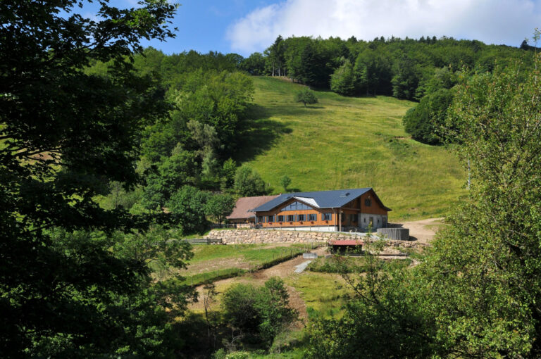 Balade ferme-auberge Lochberg : En compagnie des hêtres centenaires