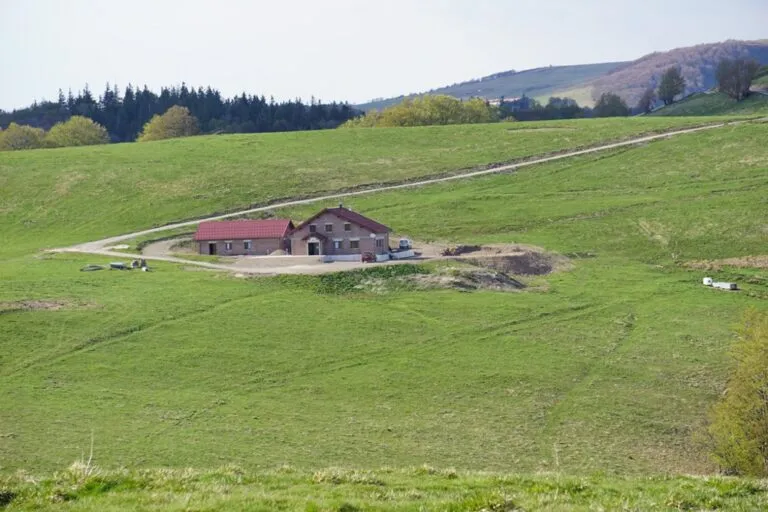 Balade ferme-auberge Wissgrut : Des hĂȘtres sortis tout droit des contes