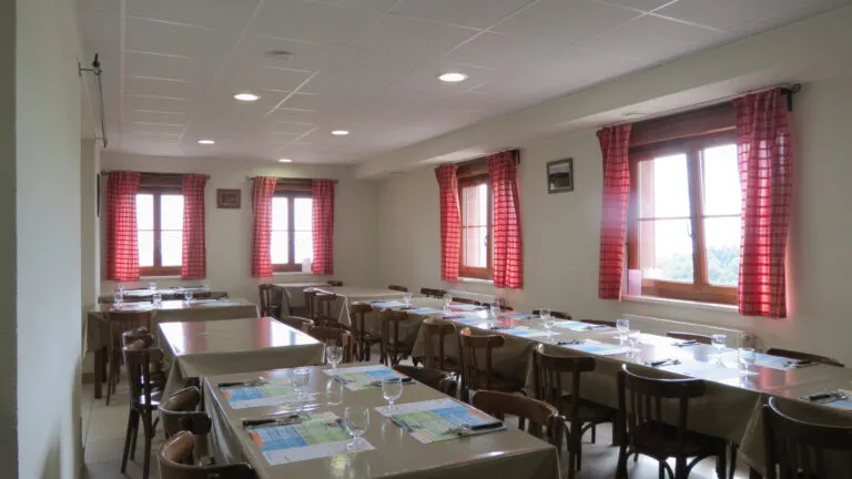 Balade ferme-auberge Wissgrut : Des hĂȘtres sortis tout droit des contes