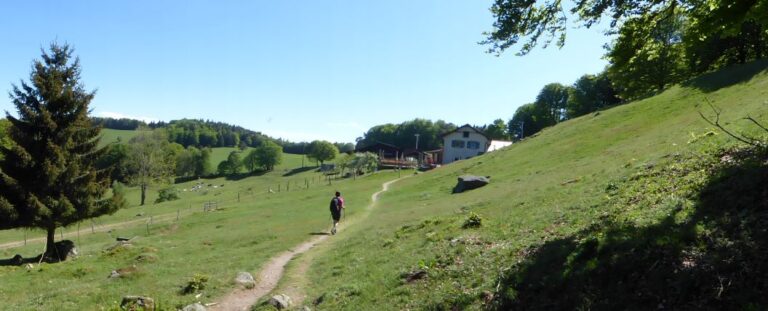 Balade ferme-auberge Gresson : Balade le long des murs de pierres