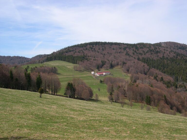 Balade ferme-auberge Gresson : Balade le long des murs de pierres