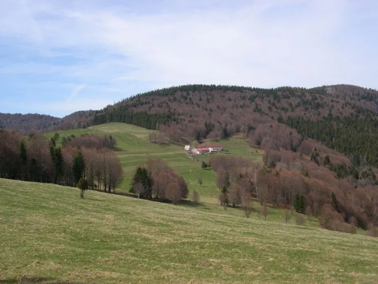 Balade ferme-auberge Gresson : Balade le long des murs de pierres