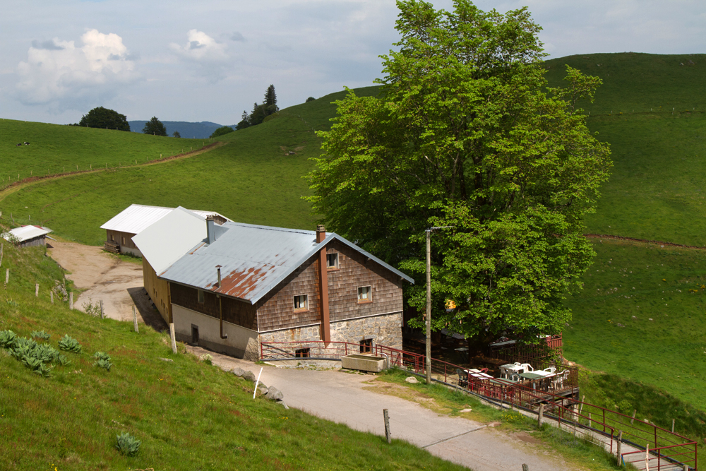 Balade ferme-auberge Felsach : vers un sanctuaire de nature