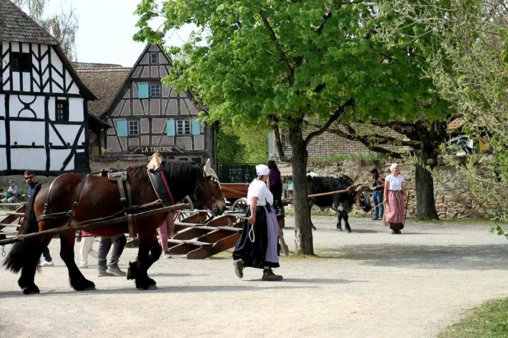 Écomusée of Alsace — Ungersheim