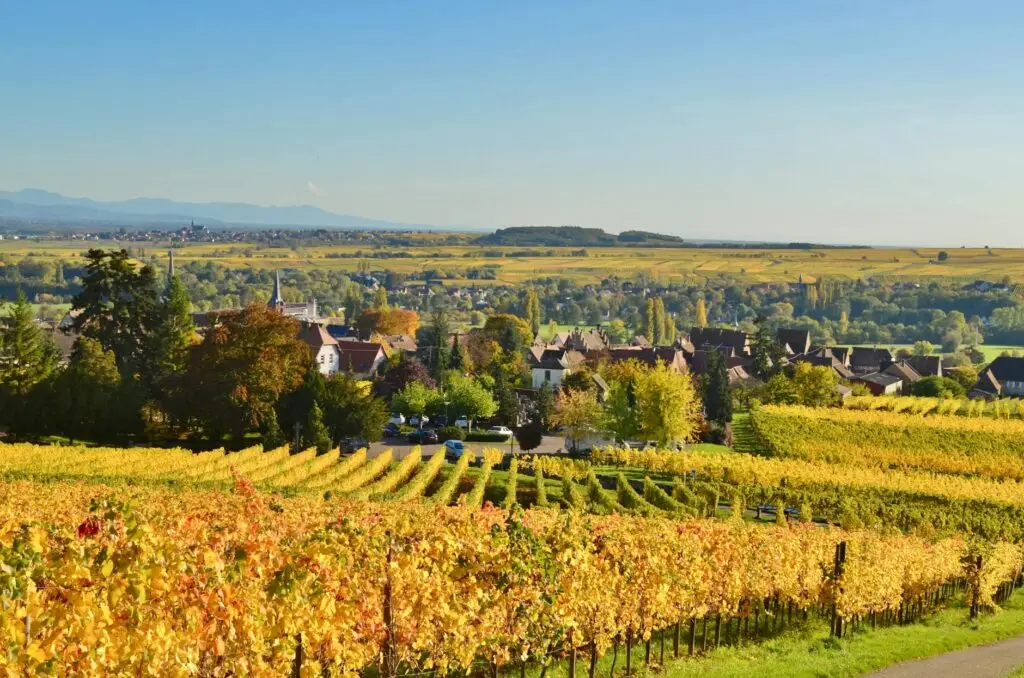 Domaine Schoffit — wine tasting in Colmar