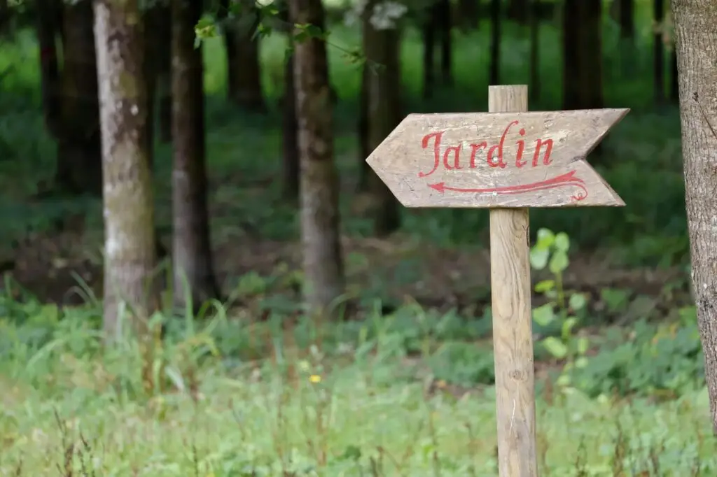 Botanical walks in the Vosges